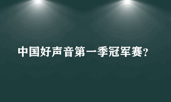 中国好声音第一季冠军赛？