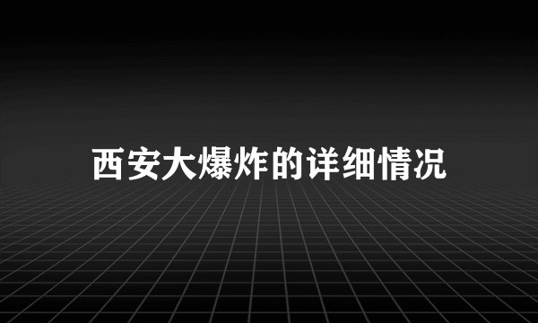西安大爆炸的详细情况