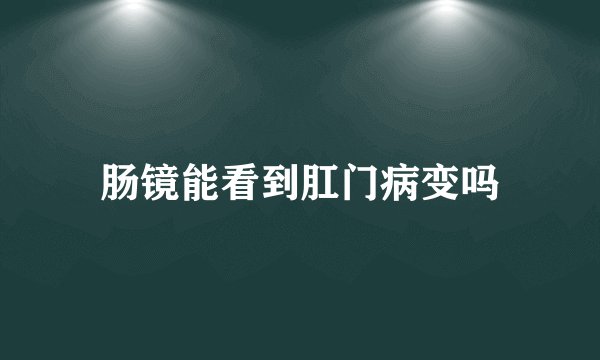 肠镜能看到肛门病变吗