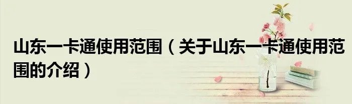 山东一卡通使用范围（关于山东一卡通使用范围的介绍）