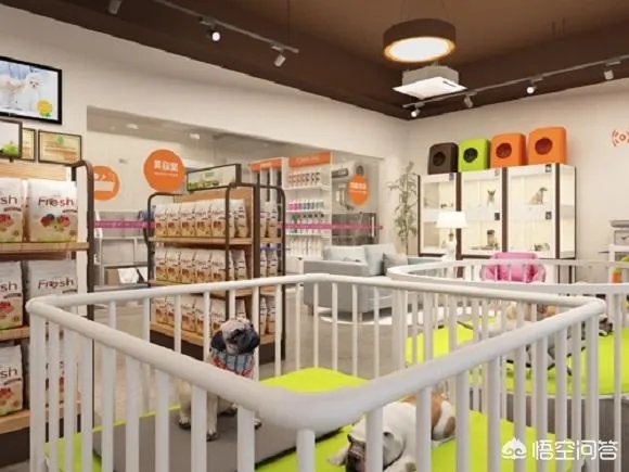 加盟一个宠物店或者自己开一个需要多少钱？