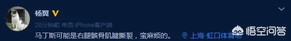马丁斯严重受伤，对上海申花影响大吗？