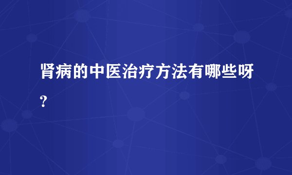 肾病的中医治疗方法有哪些呀?