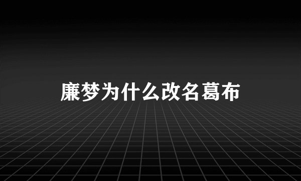 廉梦为什么改名葛布