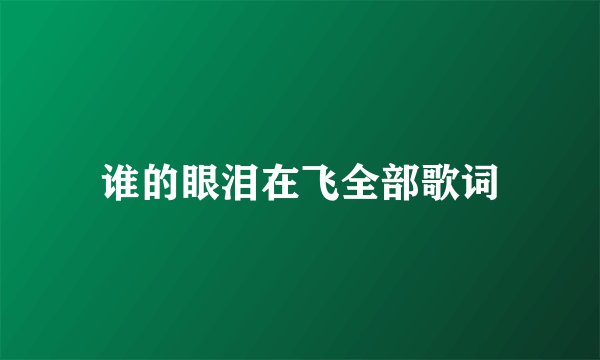谁的眼泪在飞全部歌词