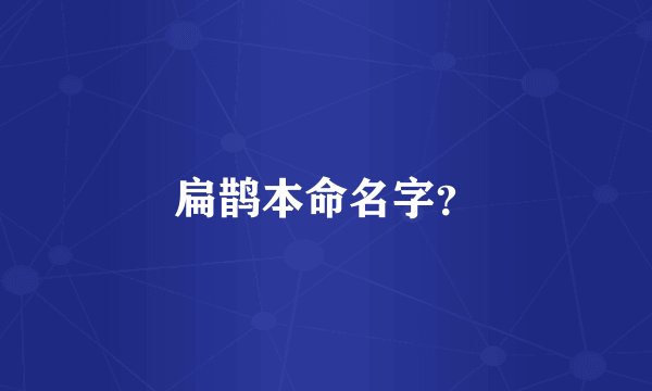 扁鹊本命名字?