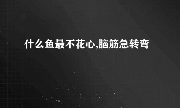 什么鱼最不花心,脑筋急转弯