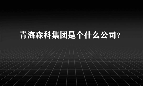 青海森科集团是个什么公司？
