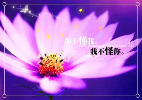 李植穿越明末全文免费阅读 李植穿越明末完本