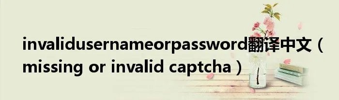 invalidusernameorpassword翻译中文（missing or invalid captcha）