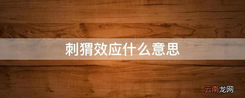 刺猬效应什么意思