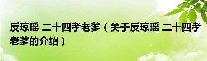 反琼瑶 二十四孝老爹（关于反琼瑶 二十四孝老爹的介绍）
