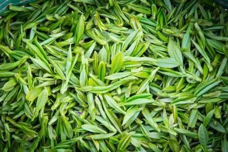 歙县痛哭茶企老板获武警援助，被泡茶叶应该如何处理？