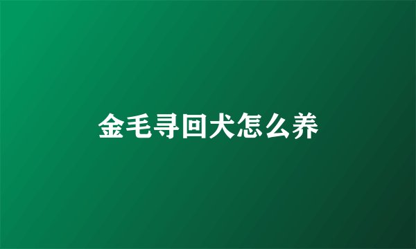 金毛寻回犬怎么养