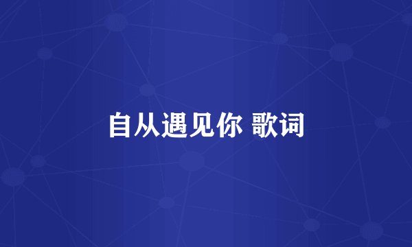 自从遇见你 歌词