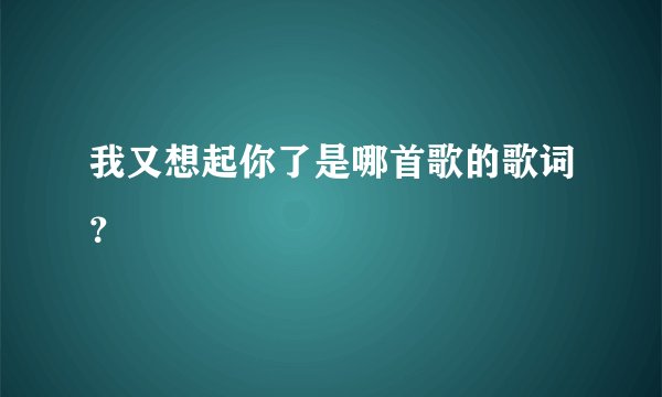 我又想起你了是哪首歌的歌词?