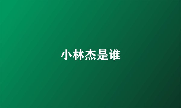 小林杰是谁