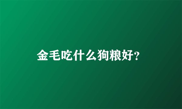 金毛吃什么狗粮好？