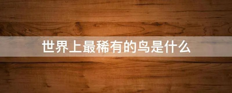 世界上最稀有的鸟是什么