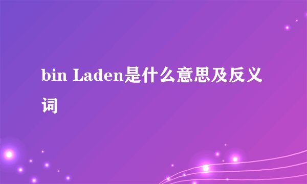 bin Laden是什么意思及反义词