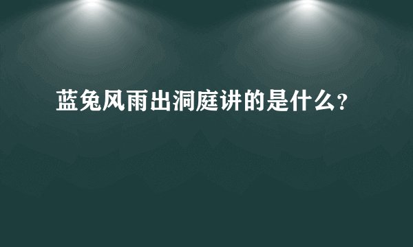 蓝兔风雨出洞庭讲的是什么？