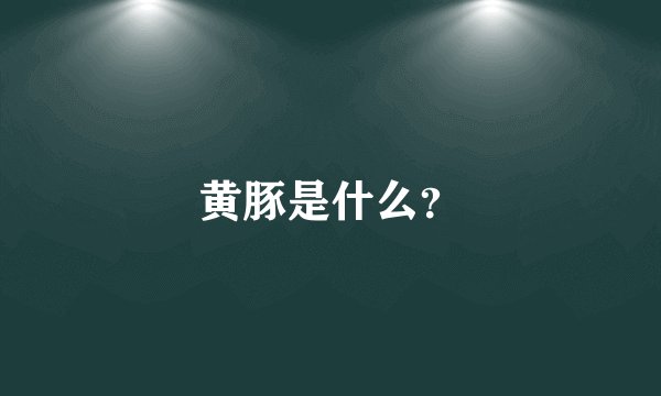 黄豚是什么?