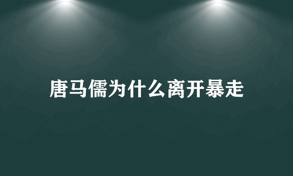 唐马儒为什么离开暴走