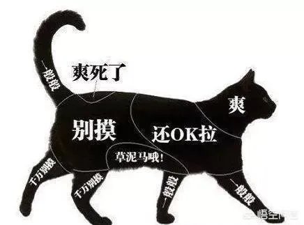 管理型人才和技术型人才有什么不一样，当前社会急需哪种人才？