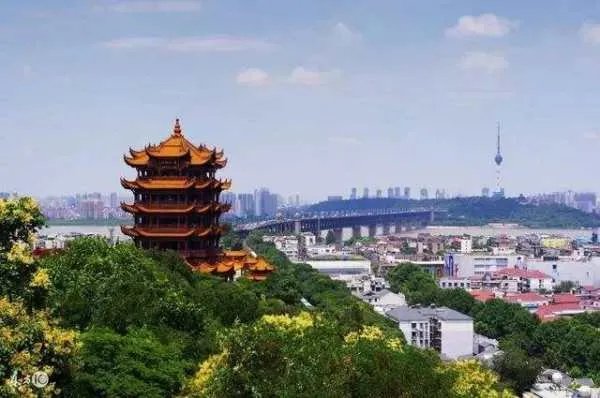 蒙古国正式启动3万只羊捐赠程序,这些羊谁有资格吃?