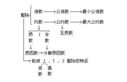 odd number 为什么