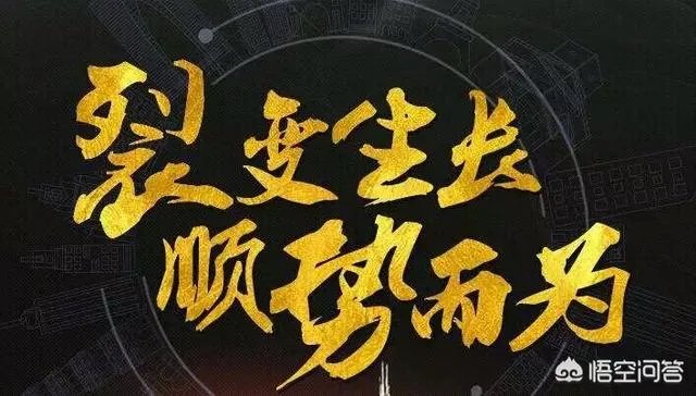 沃尔玛禁用支付宝是何用意，下一个会是信用卡吗？