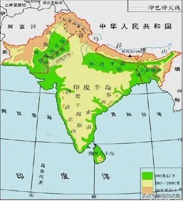 非洲蝗虫成灾,已影响印度和巴基斯坦,会传入中国吗?