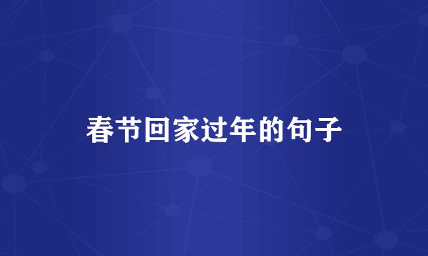 春节回家过年的句子