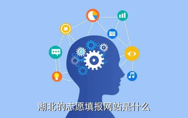 http tbzy hubzs com cn,男生网上想看的的网站