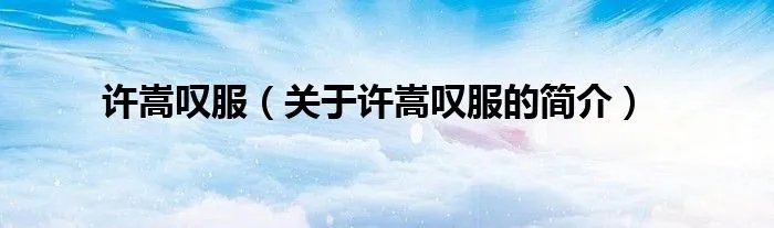 许嵩叹服(关于许嵩叹服的简介)