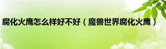 腐化火鹰怎么样好不好(魔兽世界腐化火鹰)