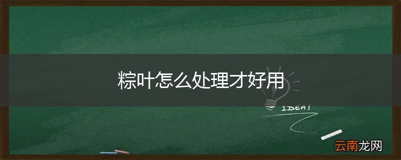 粽叶怎么处理才好用