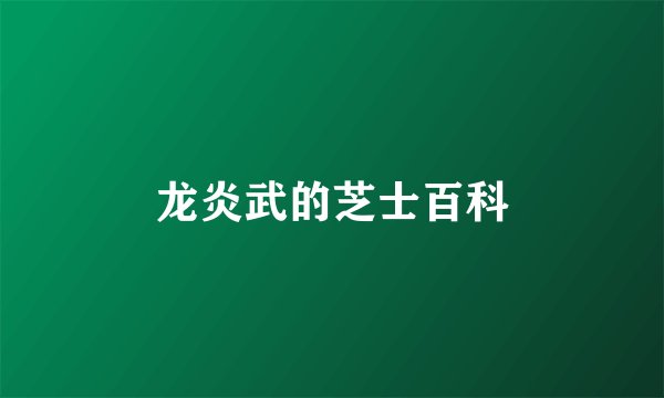 龙炎武的芝士百科