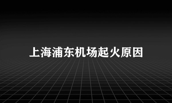上海浦东机场起火原因