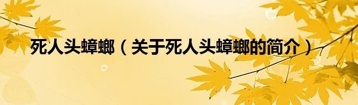 死人头蟑螂（关于死人头蟑螂的简介）