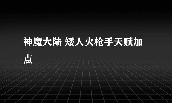 神魔大陆 矮人火枪手天赋加点