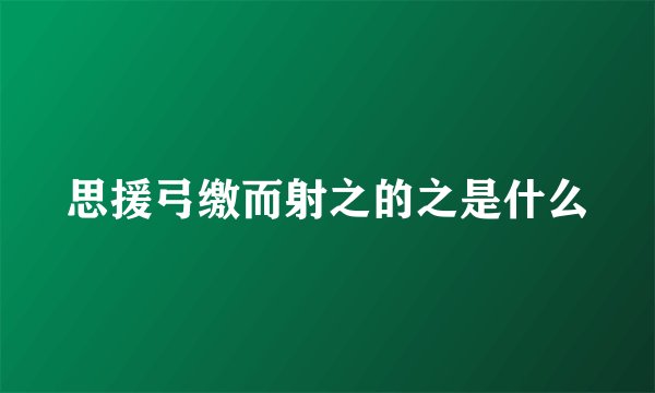 思援弓缴而射之的之是什么