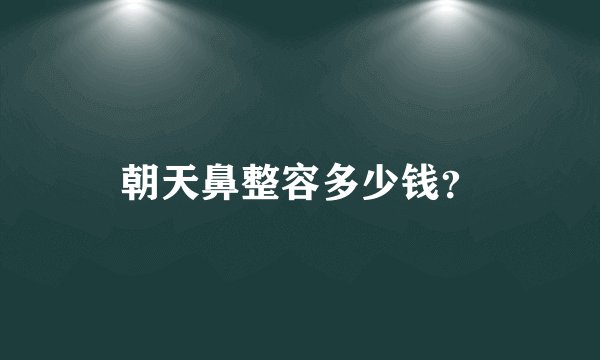 朝天鼻整容多少钱？