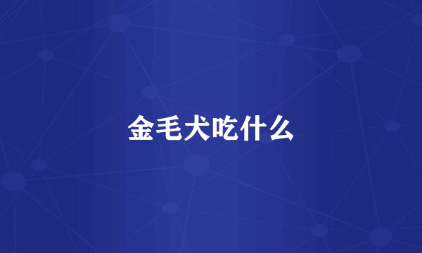 金毛犬吃什么