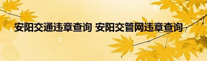 安阳交通违章查询 安阳交管网违章查询
