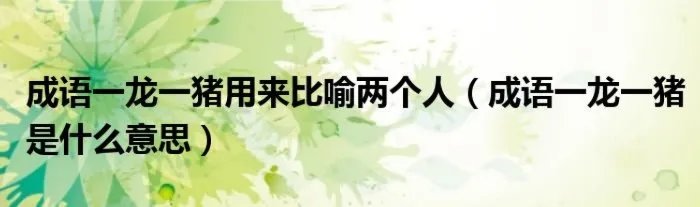 成语一龙一猪用来比喻两个人(成语一龙一猪是什么意思)
