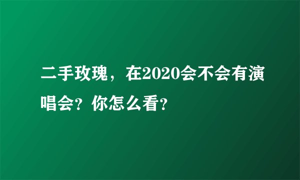 二手玫瑰，在2020会不会有演唱会？你怎么看？