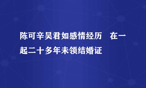 陈可辛吴君如感情经历 在一起二十多年未领结婚证