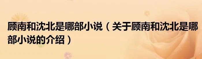 顾南和沈北是哪部小说（关于顾南和沈北是哪部小说的介绍）
