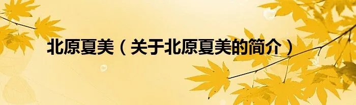 北原夏美（关于北原夏美的简介）